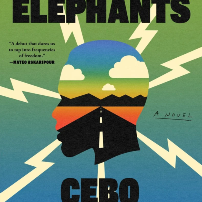 Sky Full of Elephants - by Cebo Campbell (Paperback)